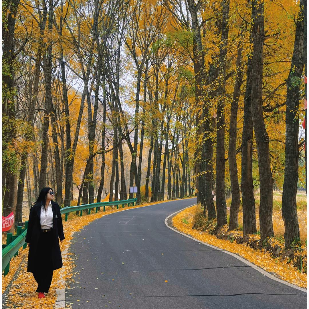 狮子座的jiang🀄️