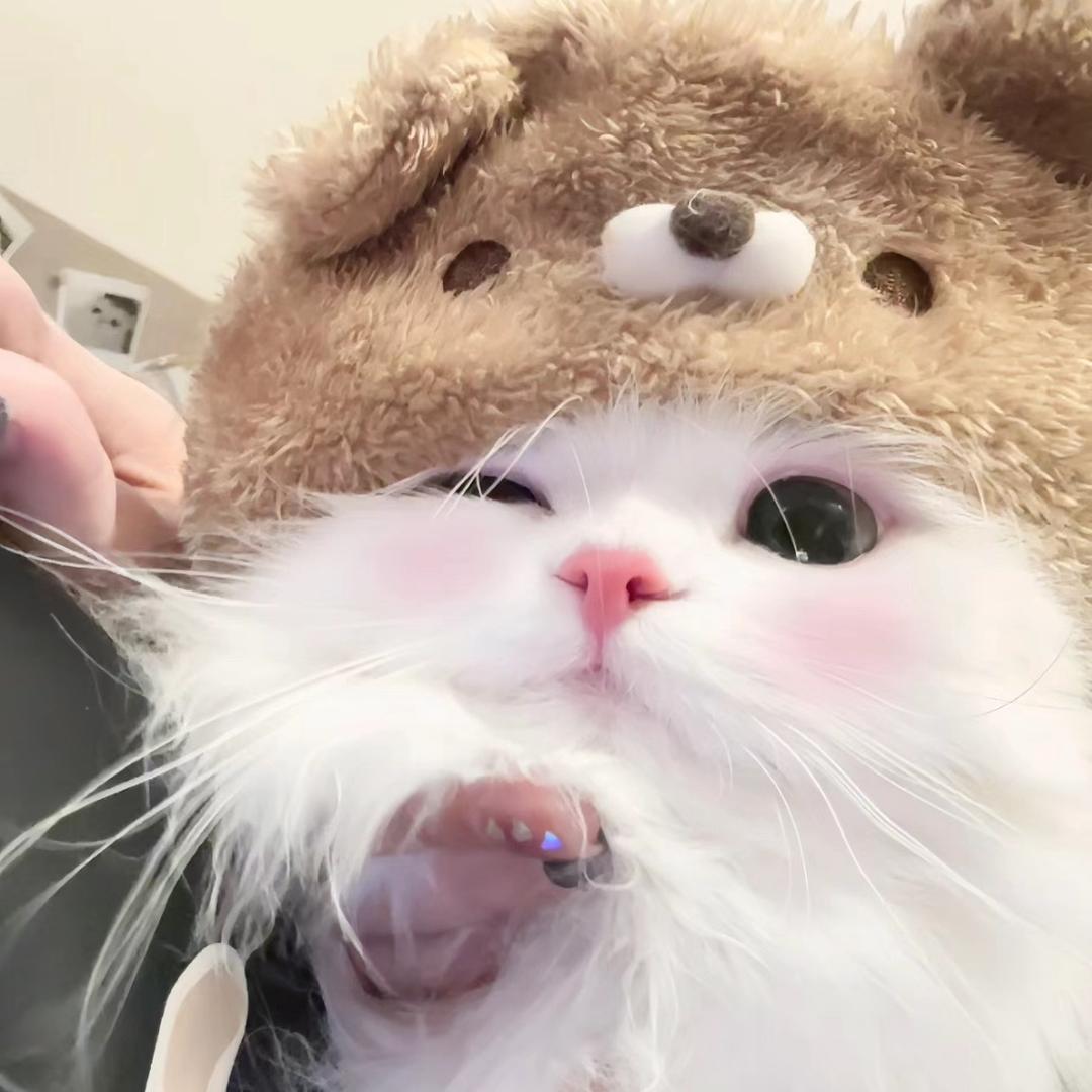liuuovo