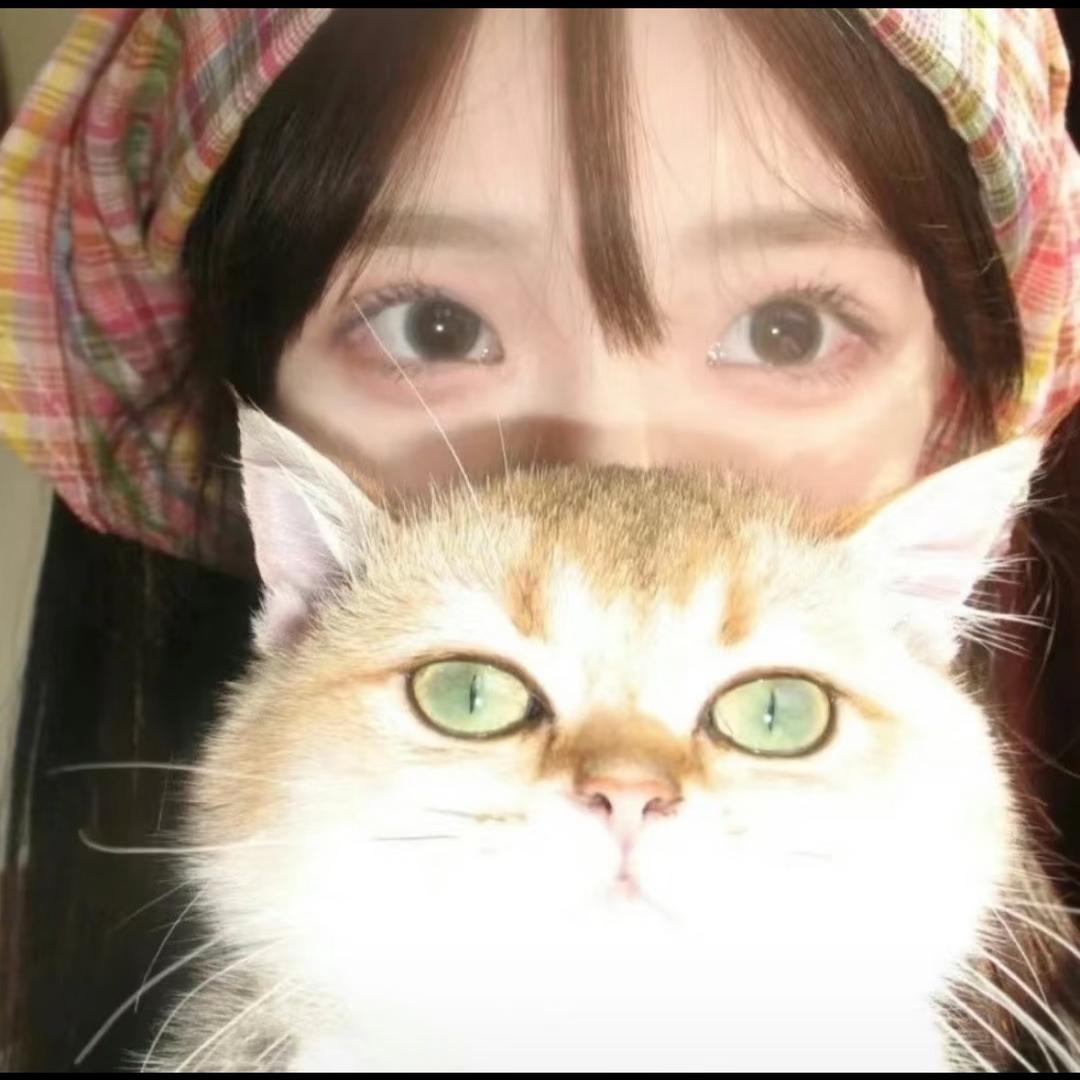 张机灵鬼儿
