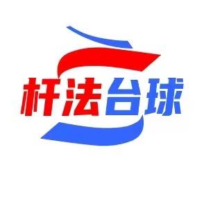 杆法台球器材甄选