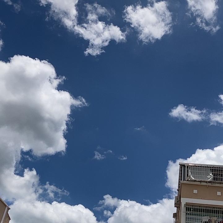 张志坤携手禄瞿科技铺子