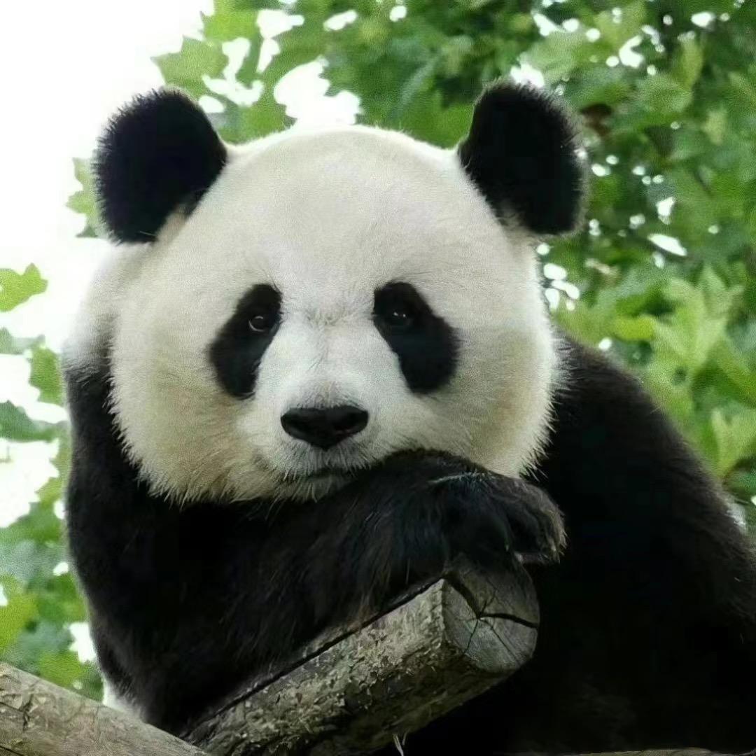 么么儿