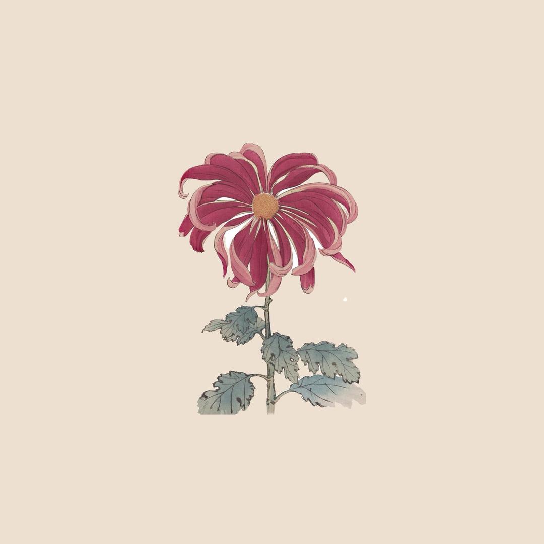 子曰头像
