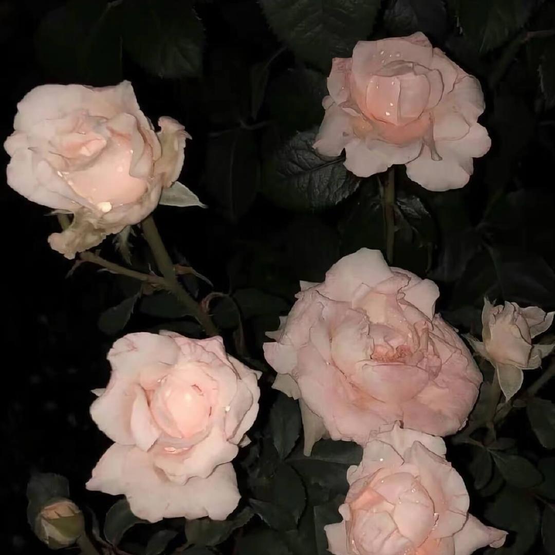 笑着走出理发店