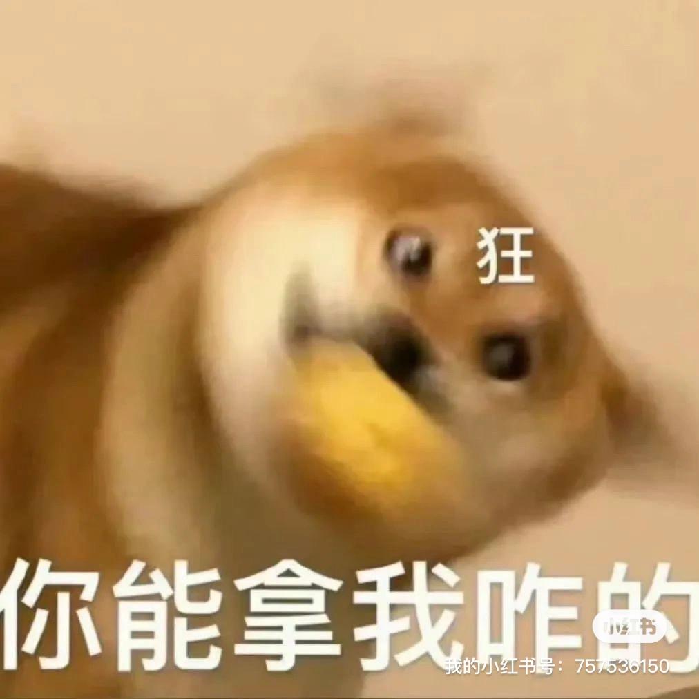 玫瑰龙井泡茶冻