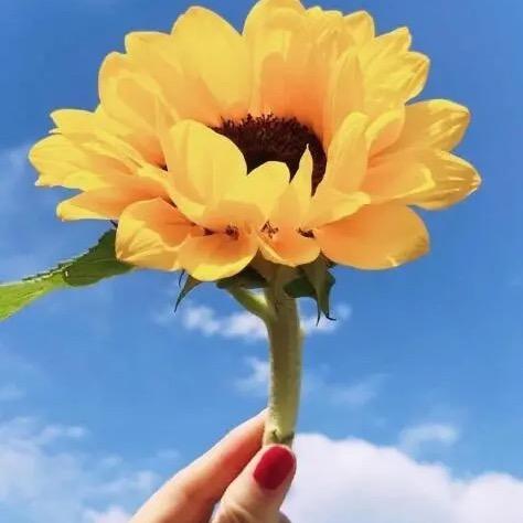 梅(拒绝私聊)