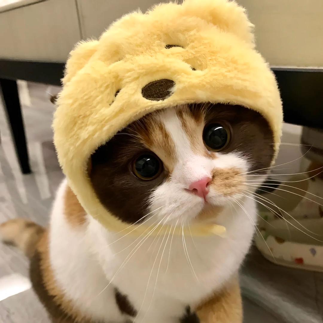 夜绾