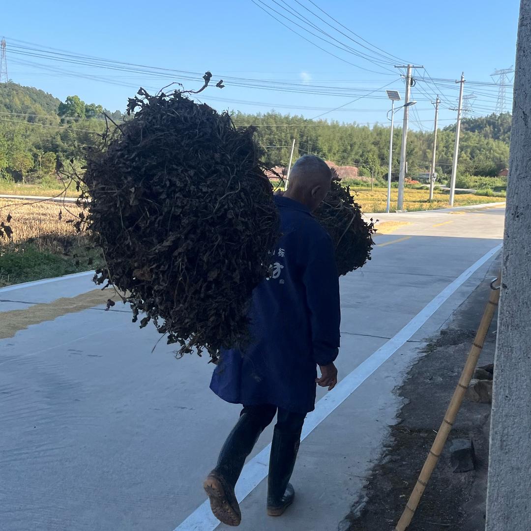 凌凌六⁰⁰⁶