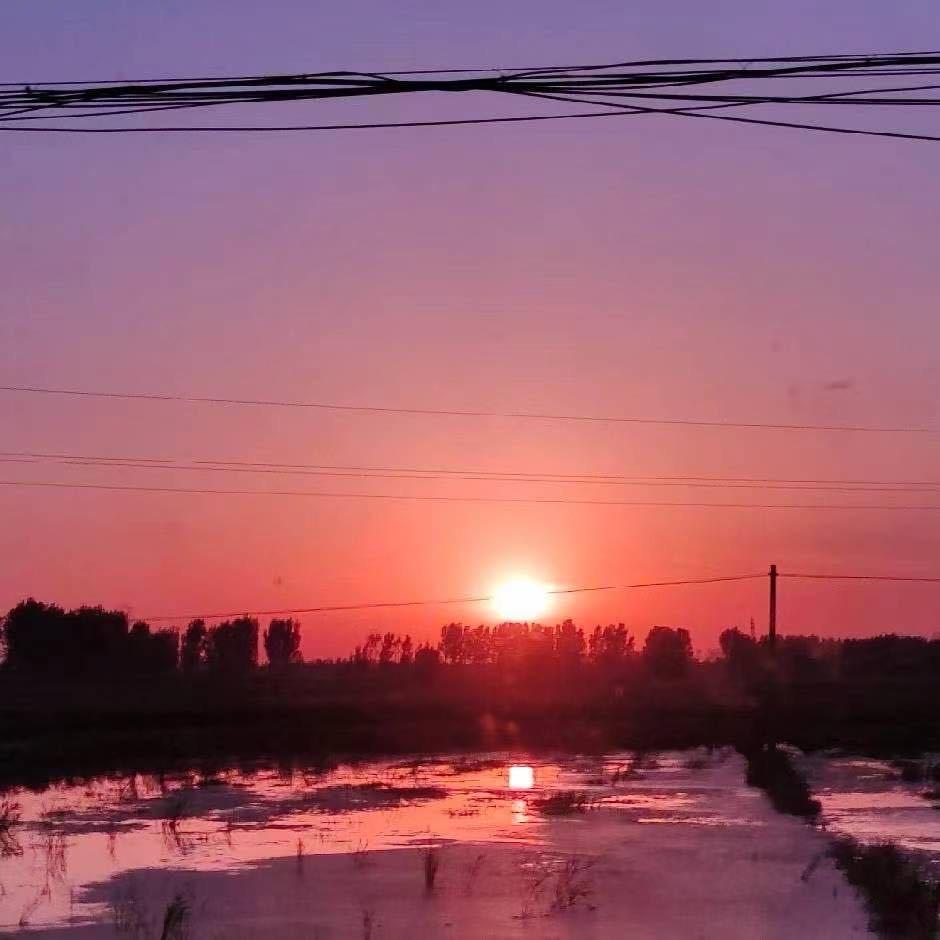 王·头像