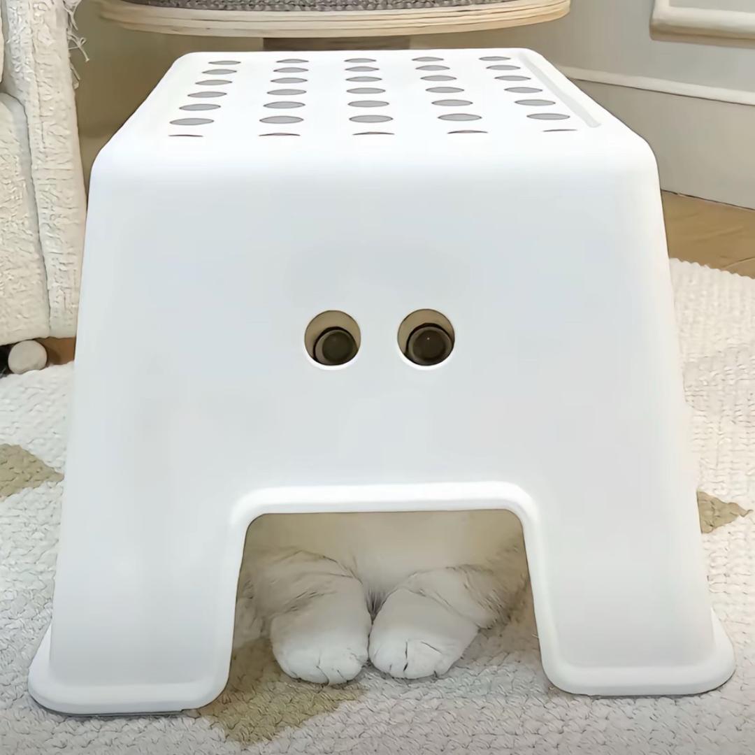 Chdjfhdydhfhfjfmhdkh
