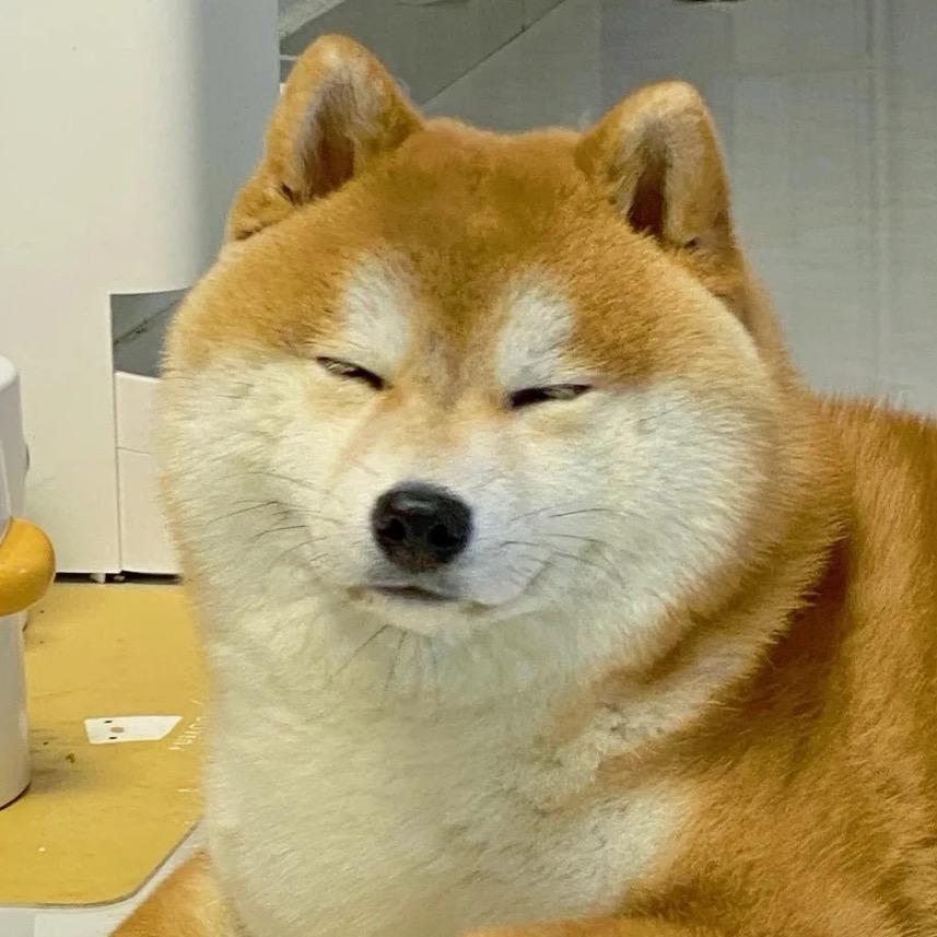 哈七.