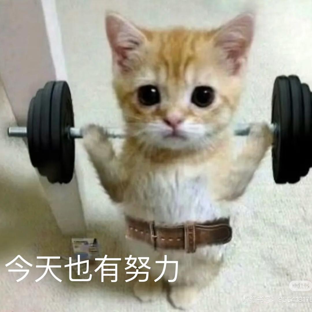 小yy