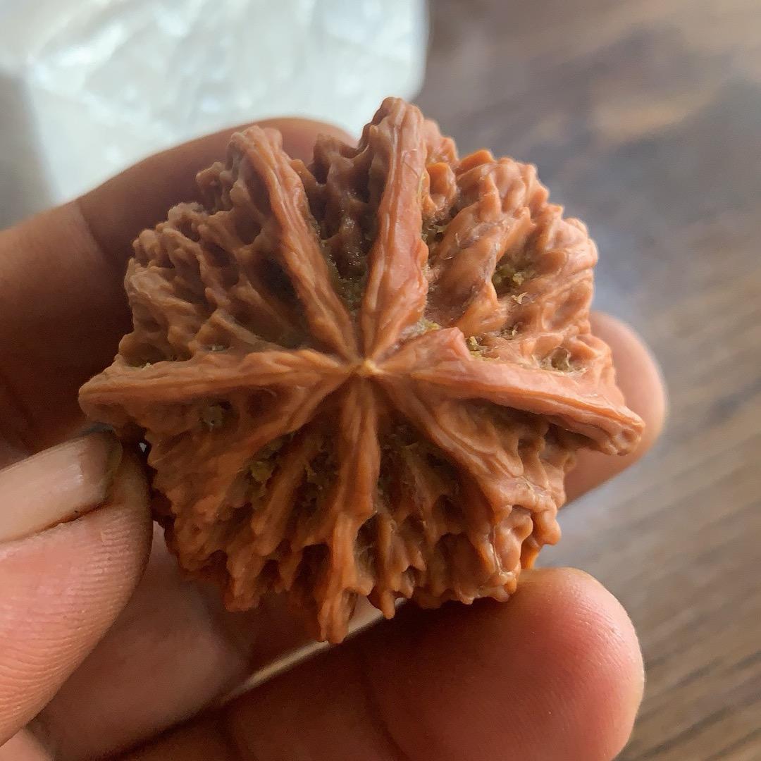 核事老农
