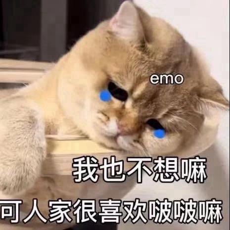 全勤机长（看过7次iag版）