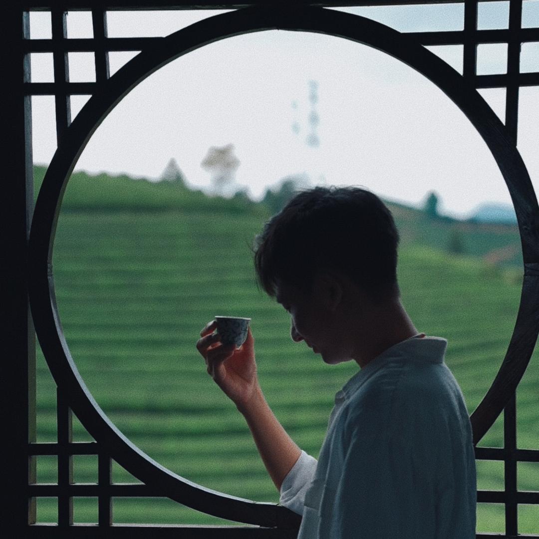 小周聊茶