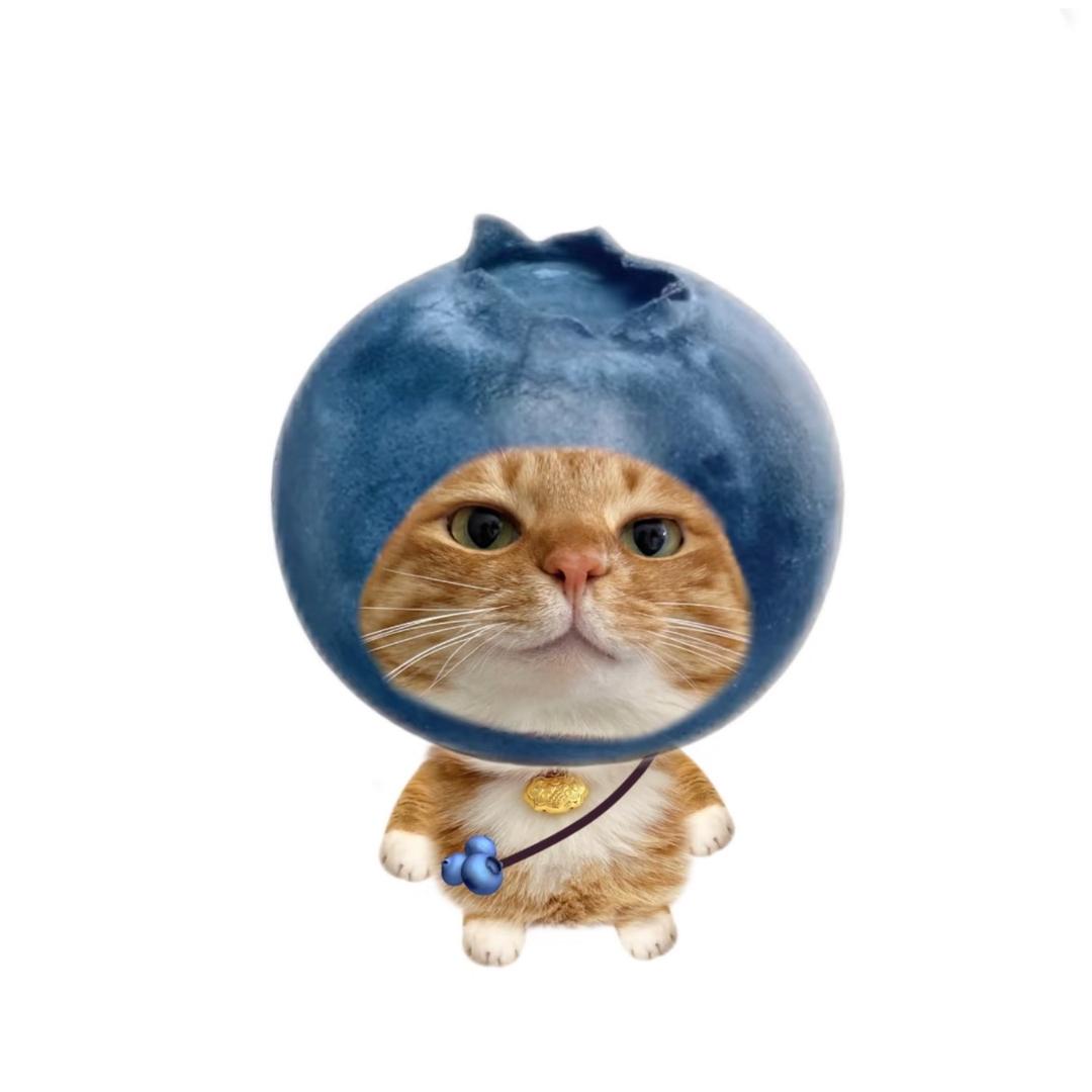 小仙./