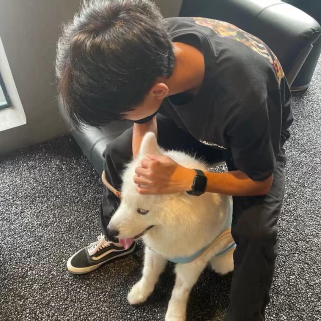 出了名的爱老婆