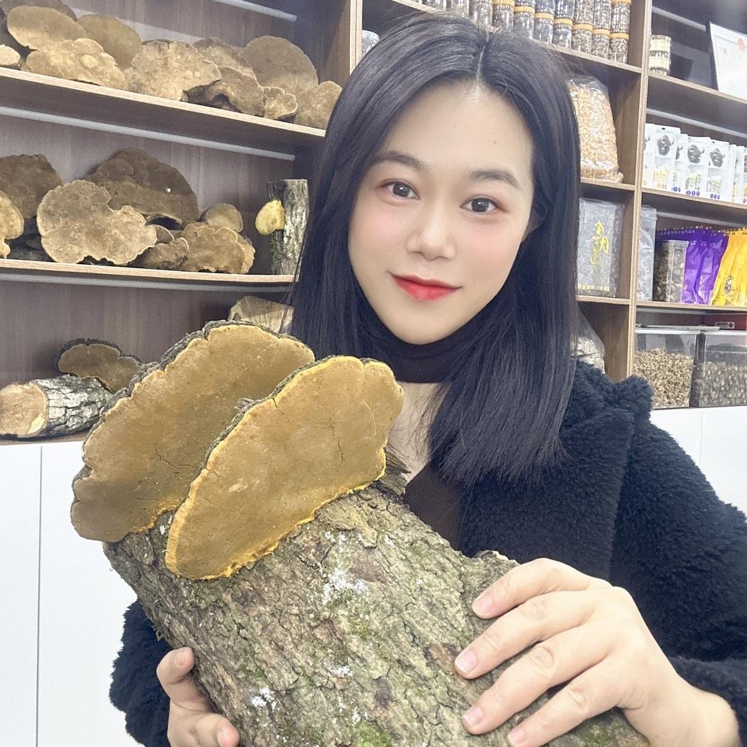 诗诗