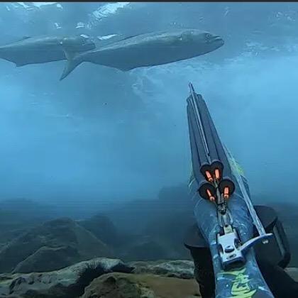 浪爷