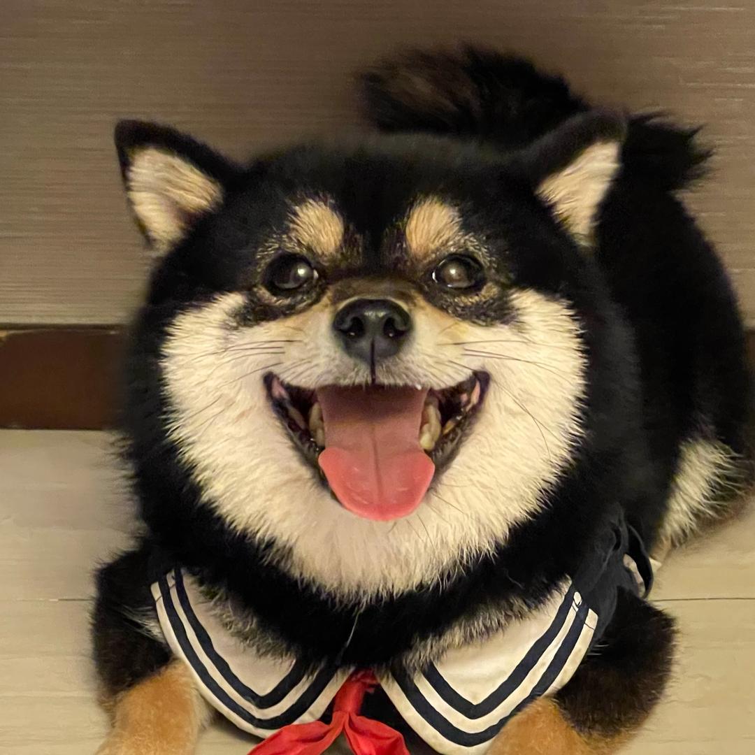 啃豆妮妮