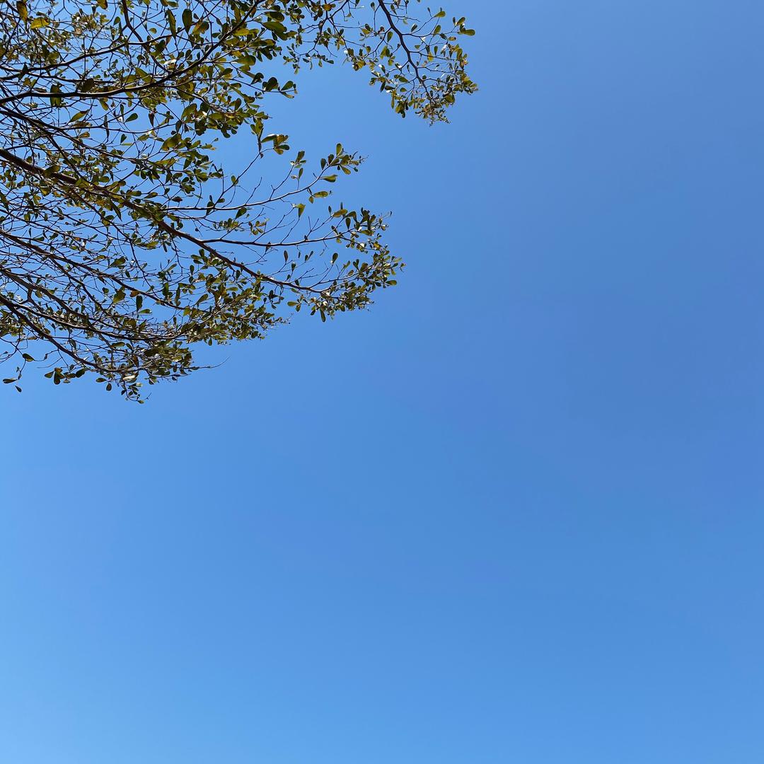 ㅤㅤㅤㅤ ㅤㅤㅤㅤ ㅤㅤㅤㅤ ㅤㅤㅤㅤ