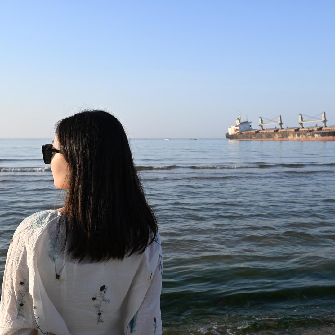 快乐小菠菜