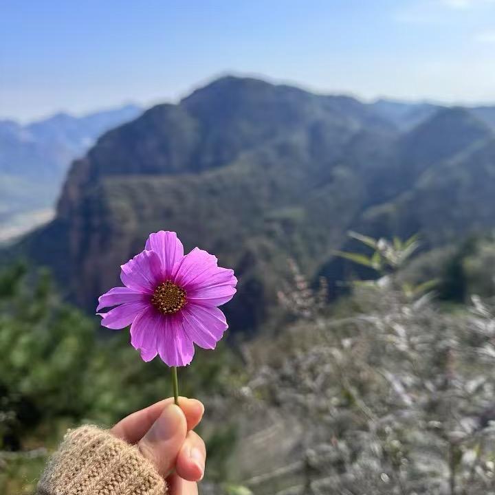 五台⛰️伊伊