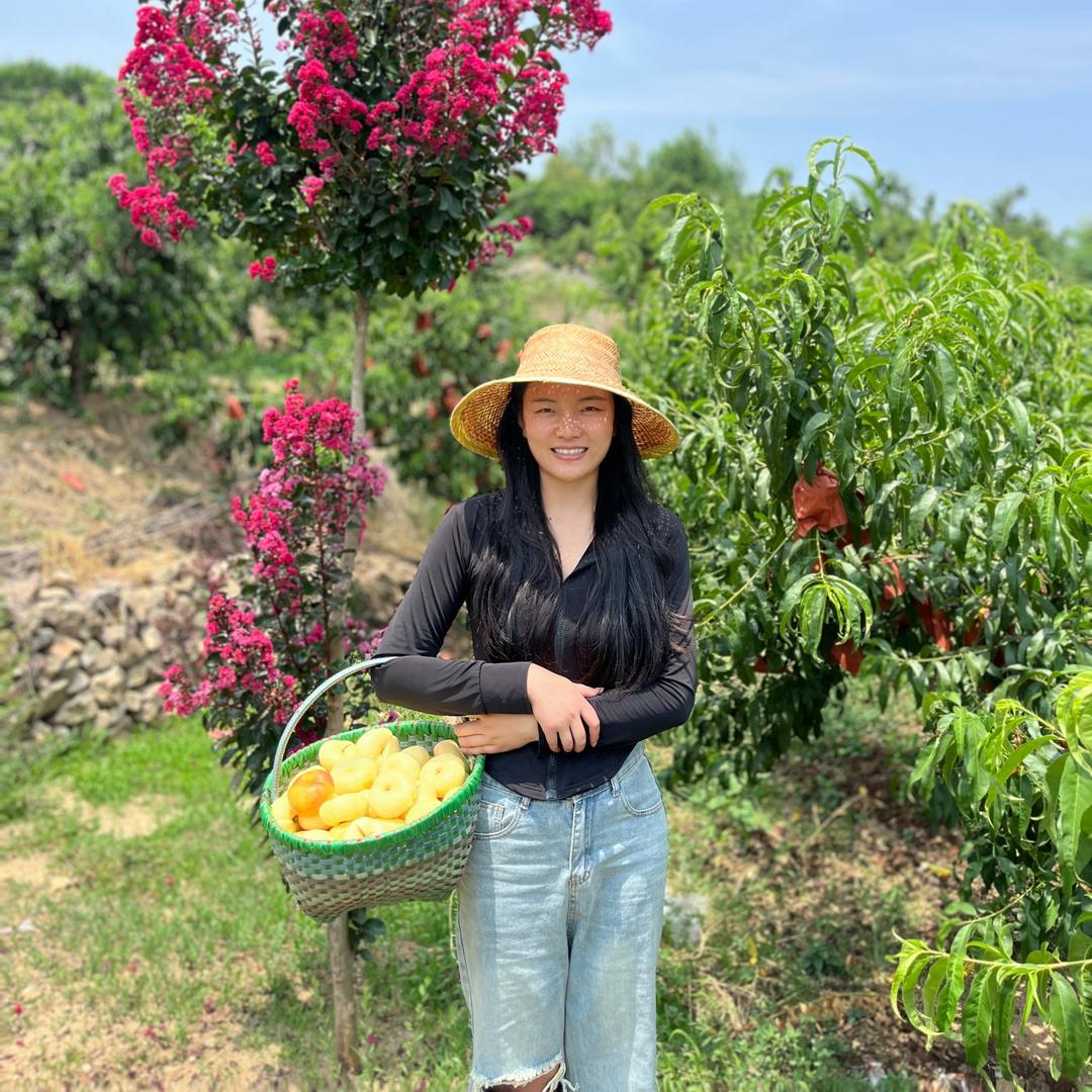 大丽
