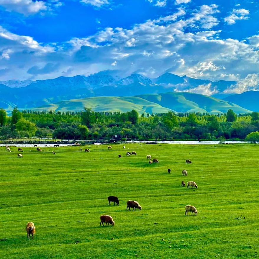 禹州市时创日化店