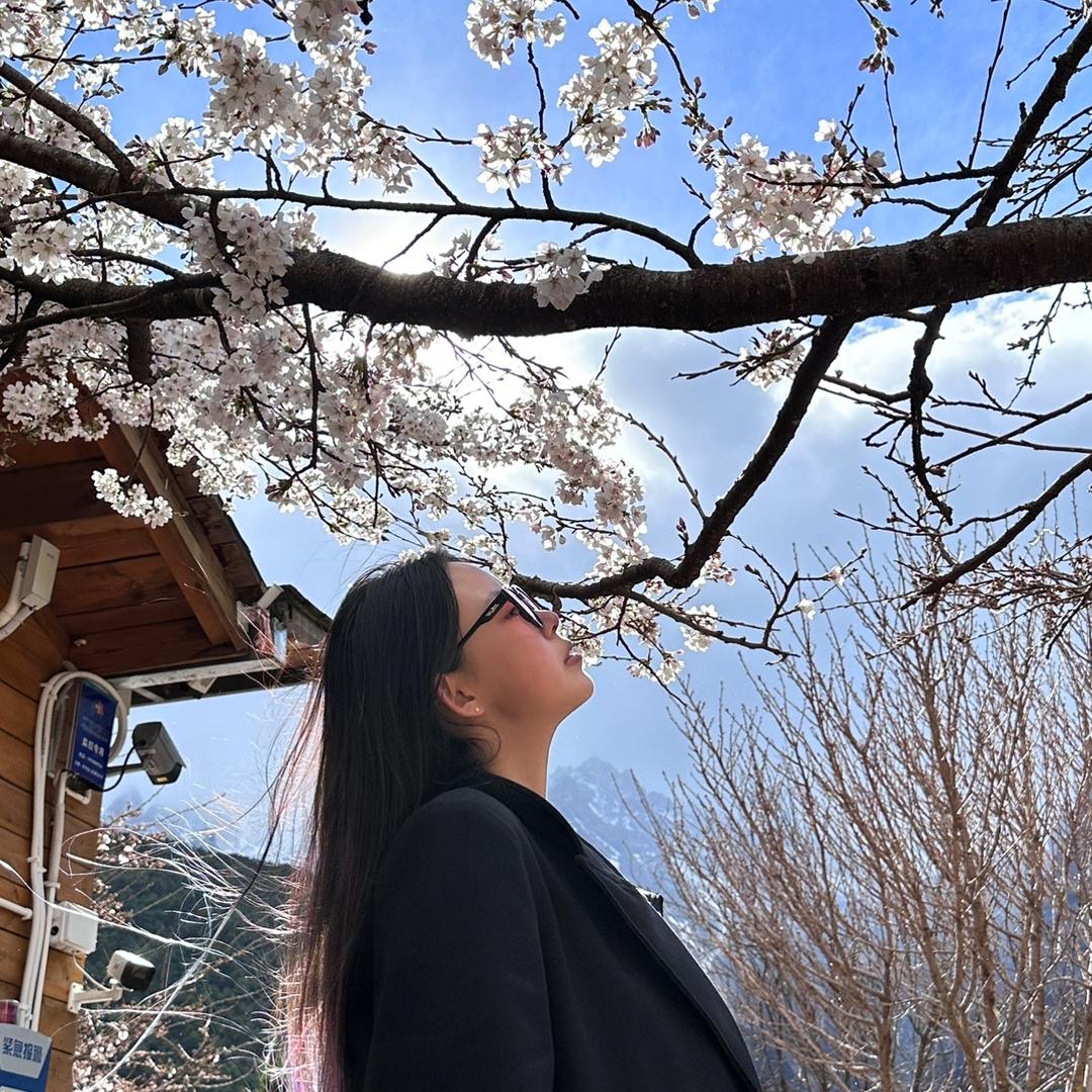 拾壹號花店.