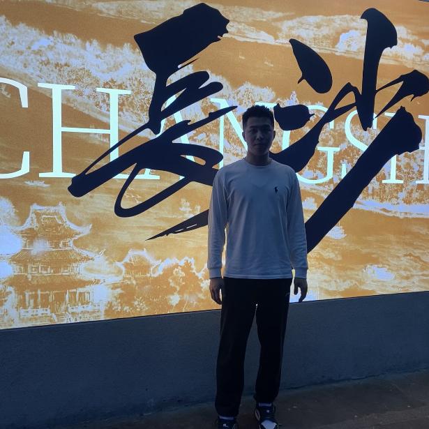 新能源面包车（啊蛇）