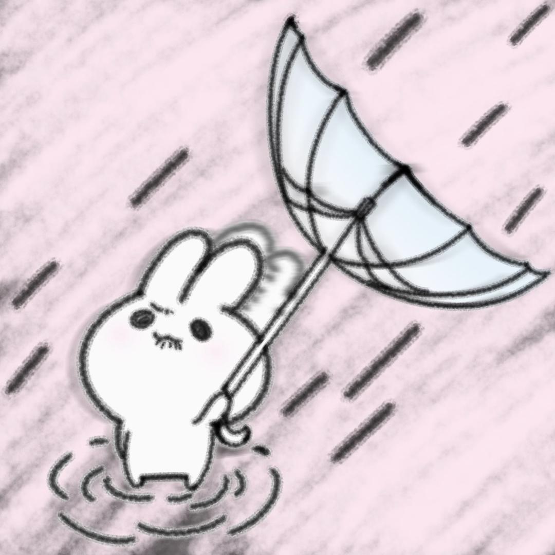 蛋挞挞