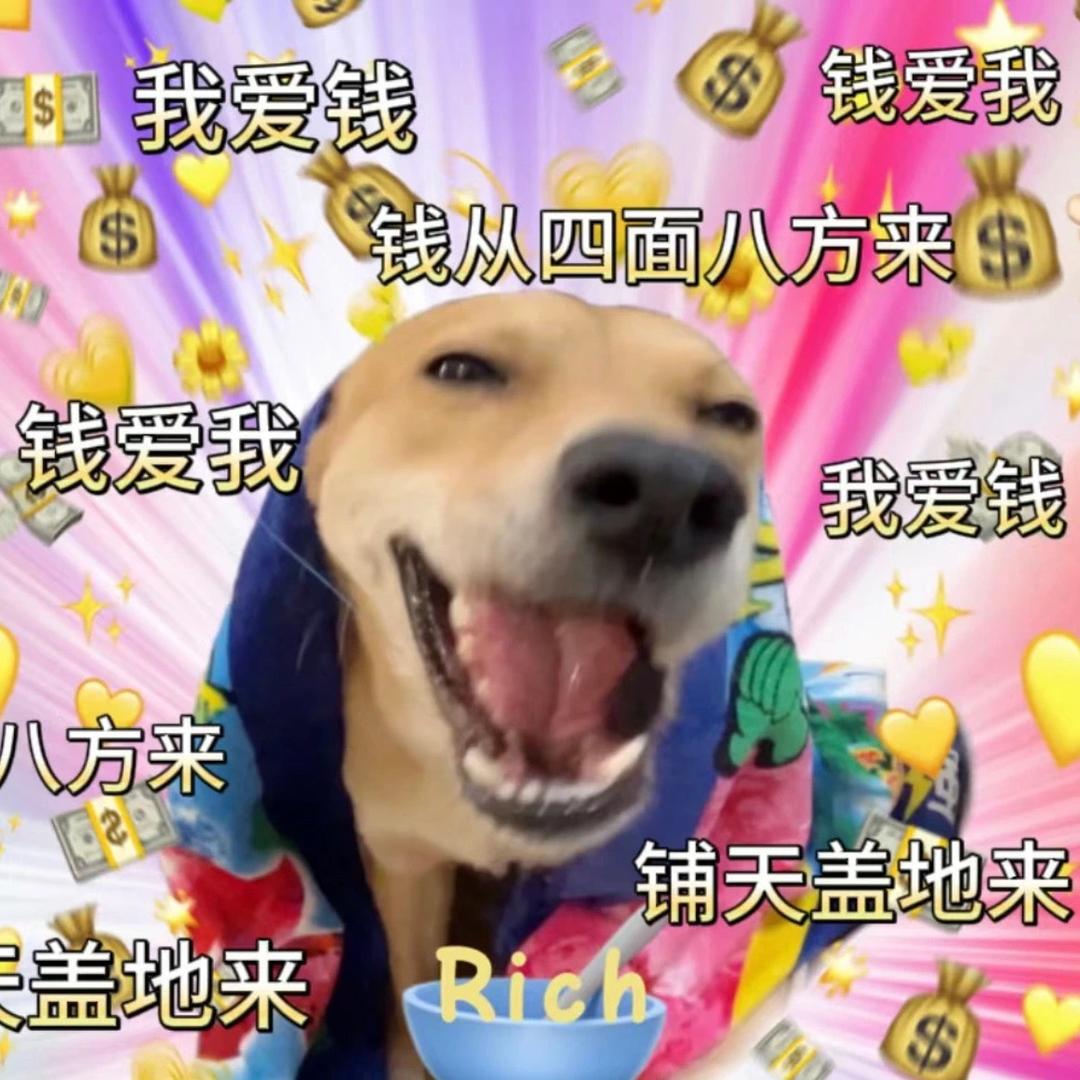 魅力无限小宋宋头像