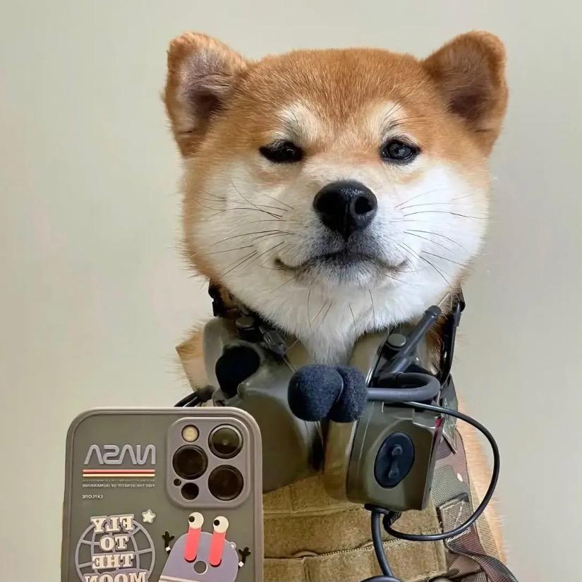 。