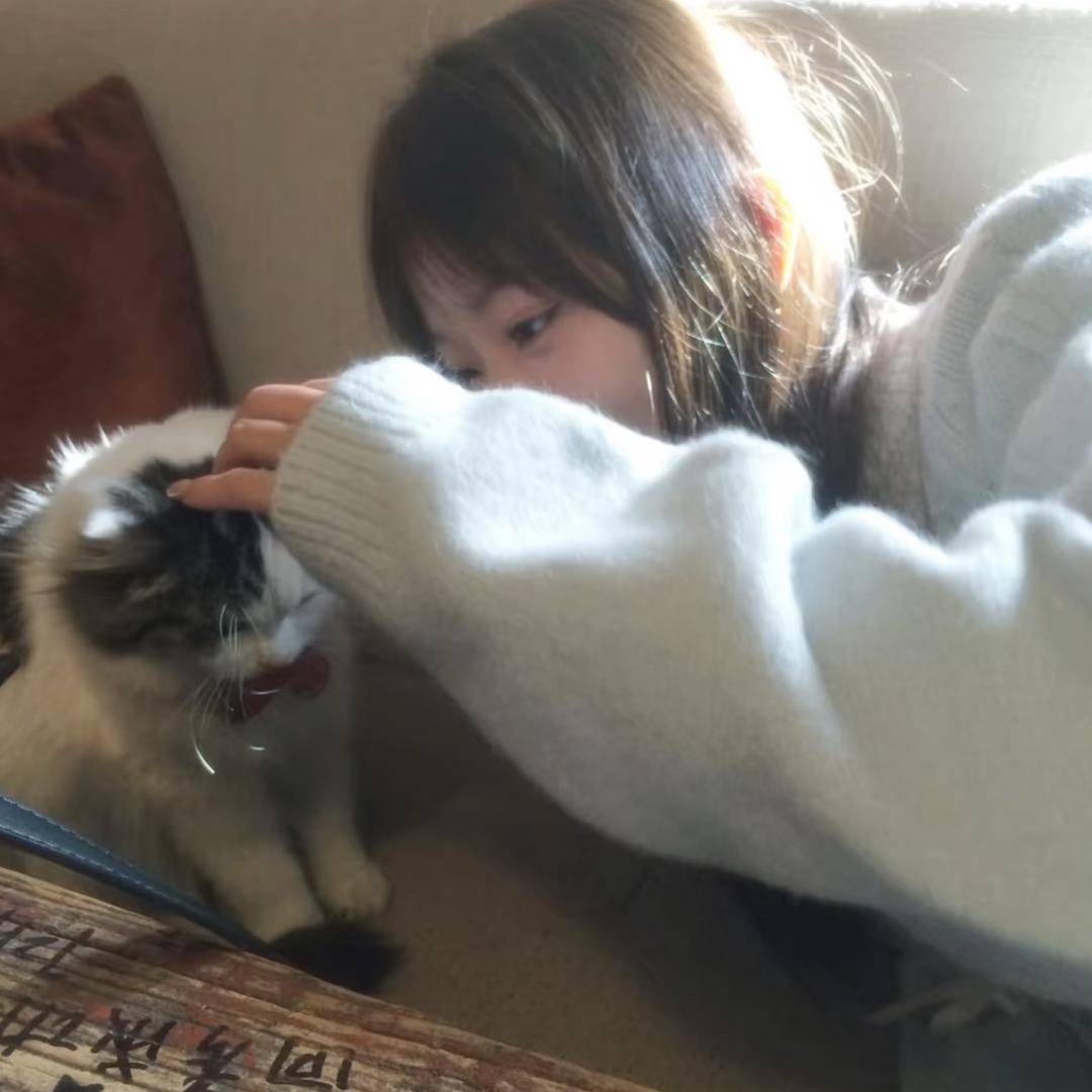 晴晴子𖧧