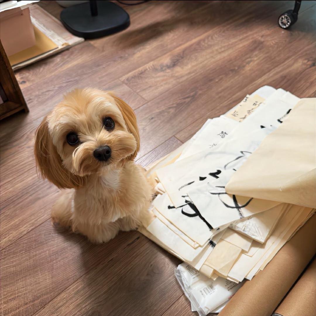 我叫王三毛