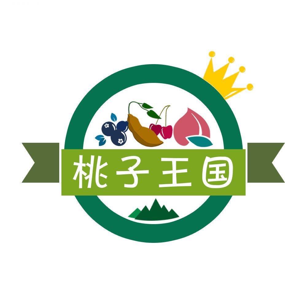 桃子王国华春电子专卖店