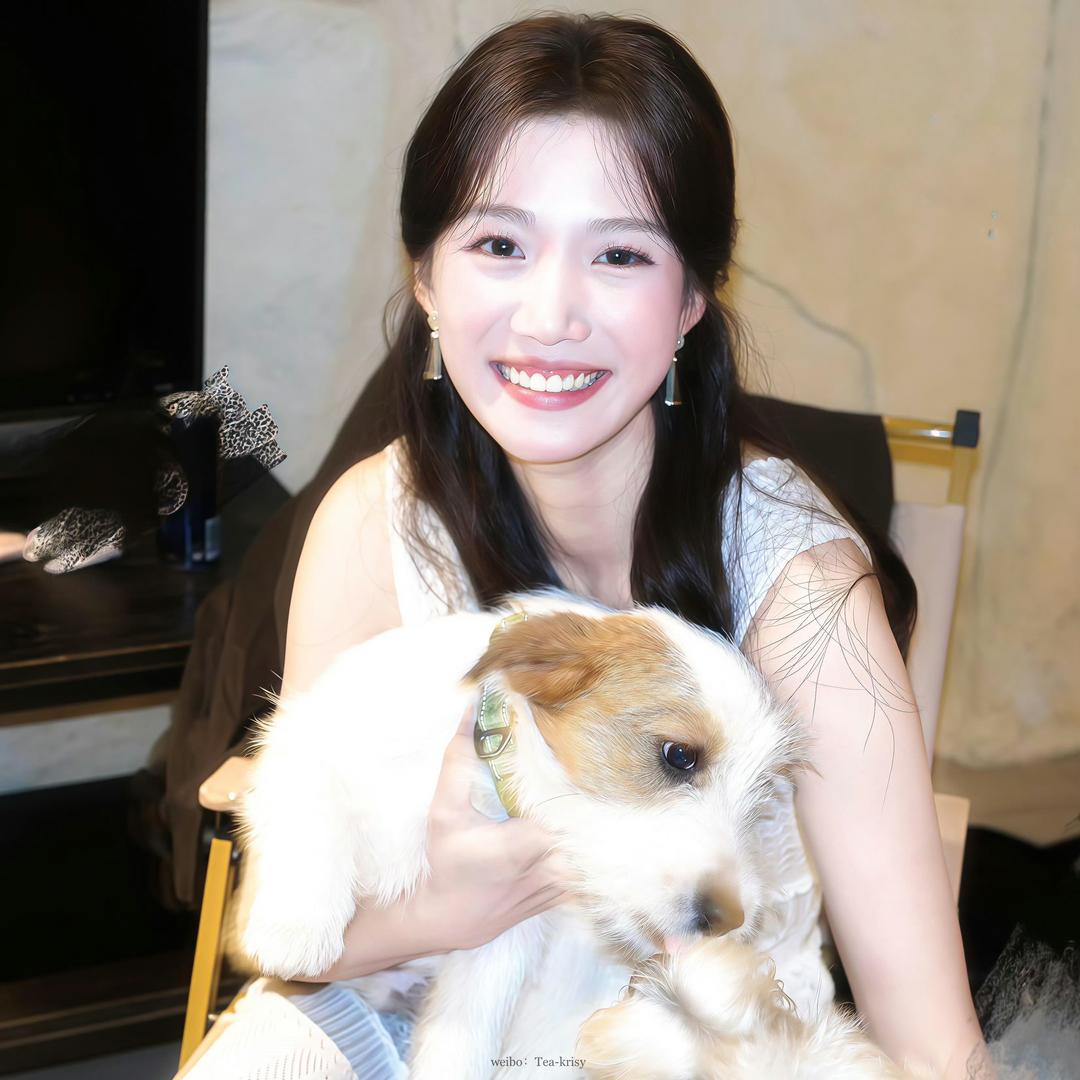 狗鼻子补漆