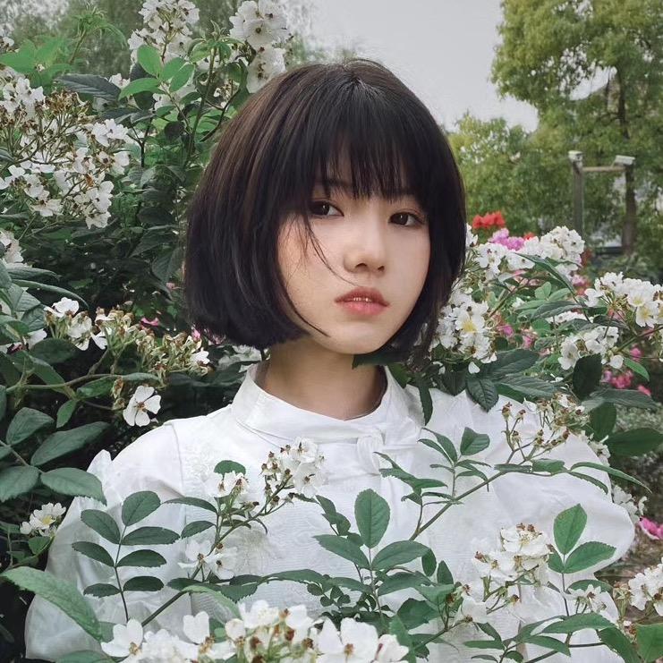 元气七七