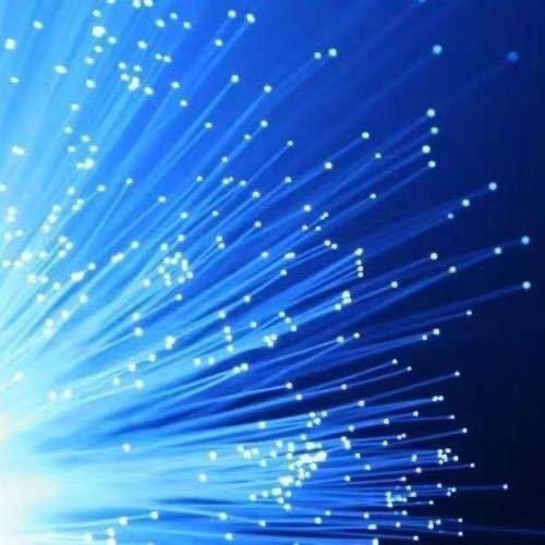 深圳打工人
