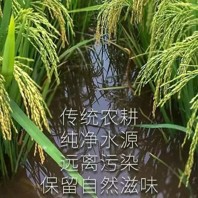 萃禧粮油