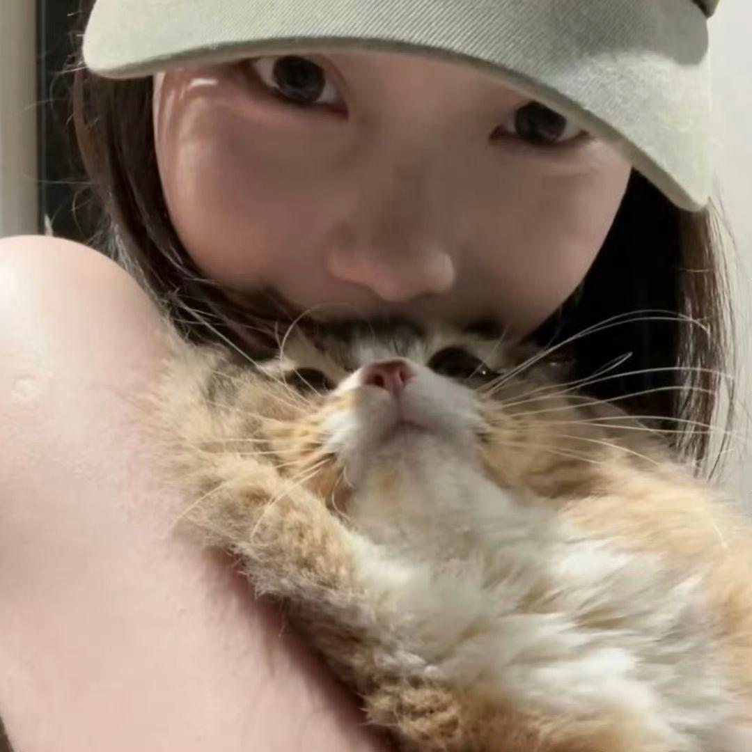 小树🐈