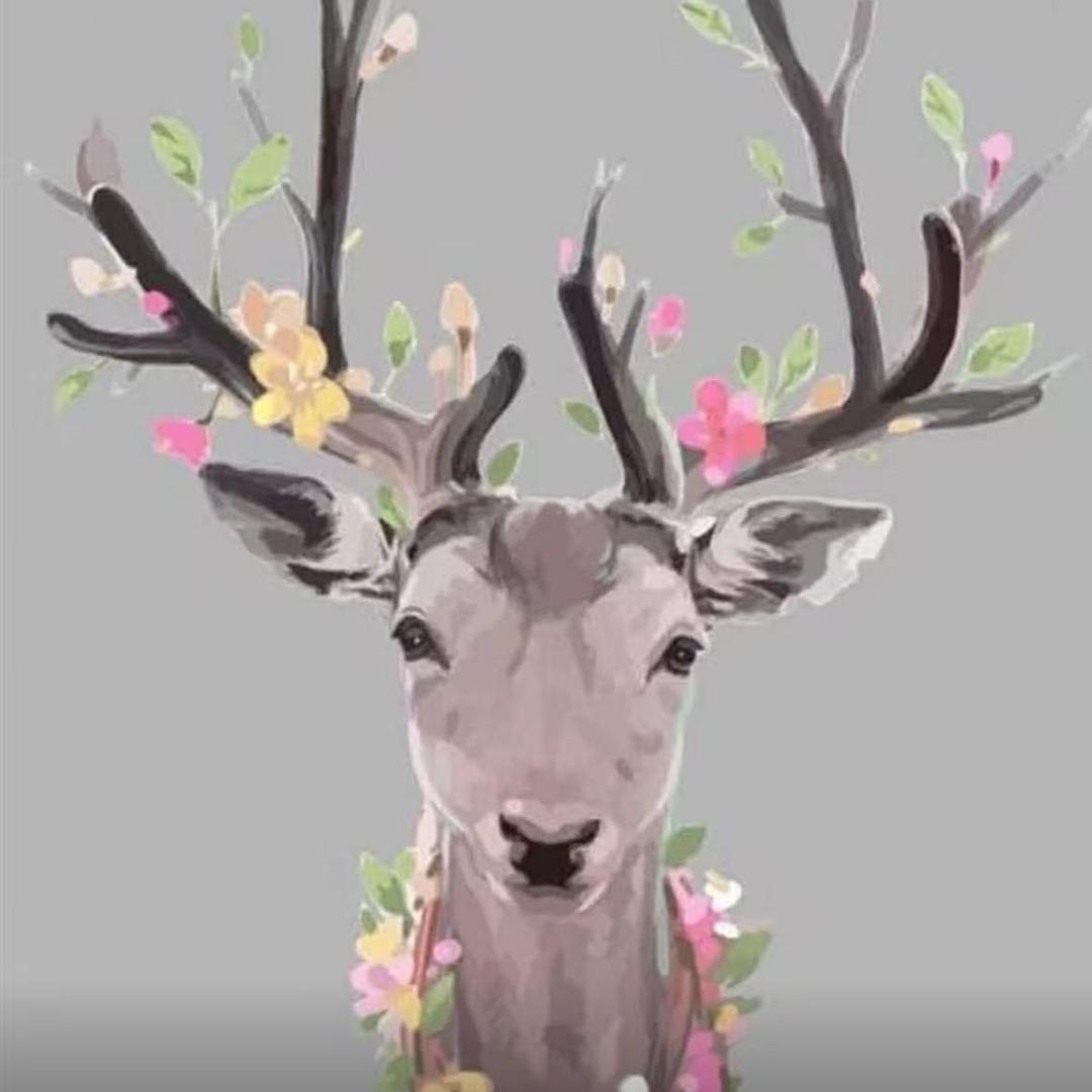 雨泽鹿产品商店