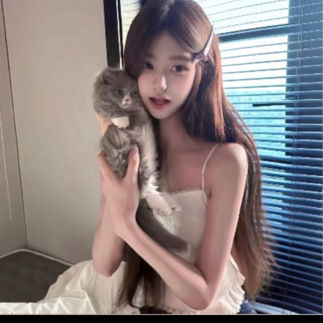 王木木.