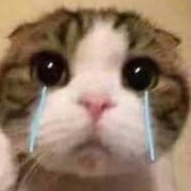 esse