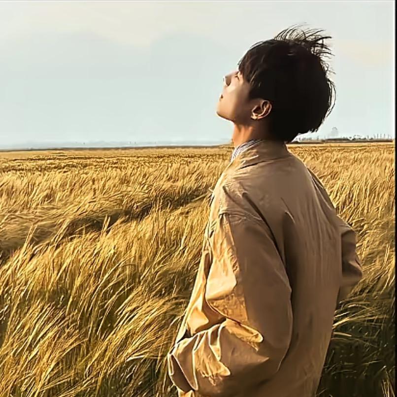 风吹麦浪