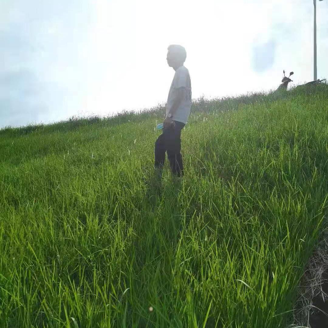 问星海🍃
