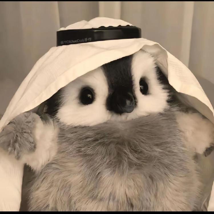子怡麻麻