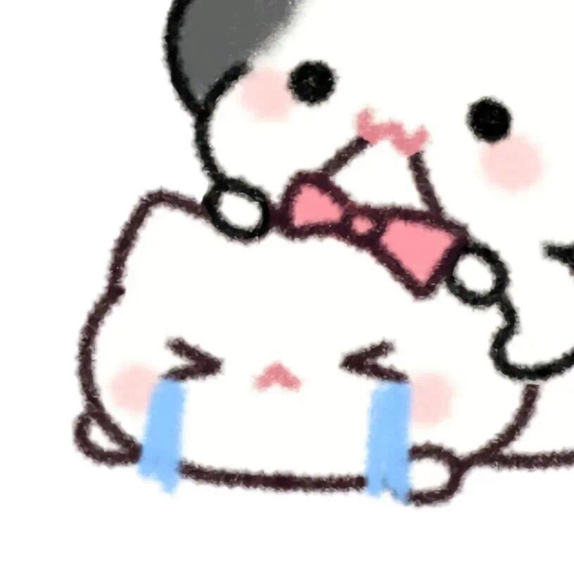 高冷kt猫