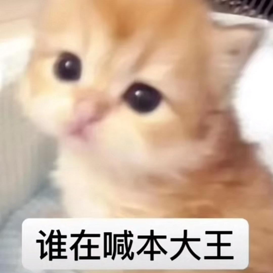 大王 ˶⊗ 𐋣 ᗜ